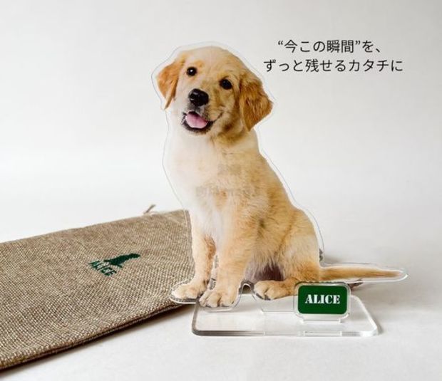 ��ȴ��������륹�����L (15cm)�������ޥ��å�