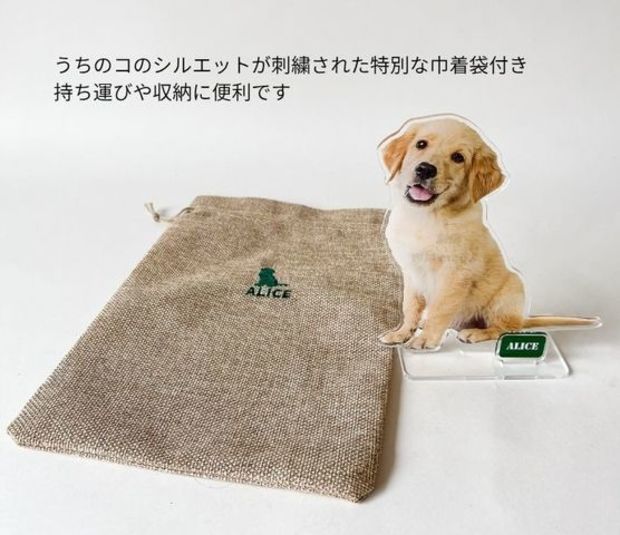 ��ȴ��������륹�����L (15cm)�������ޥ��å�