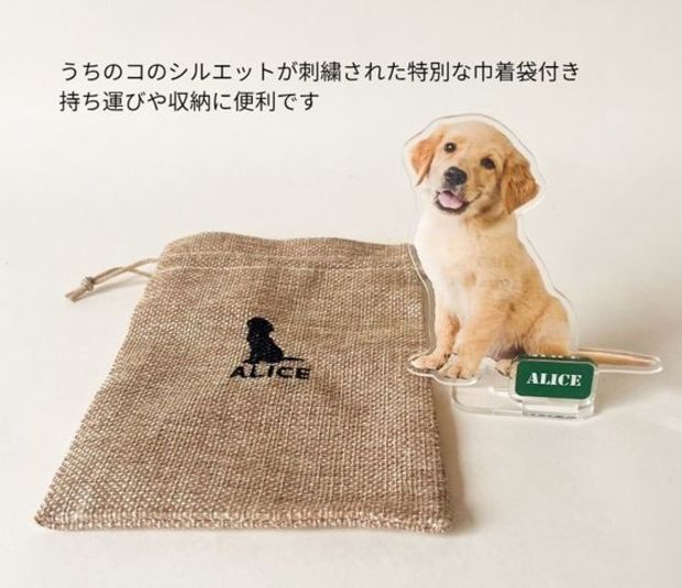 ��ȴ��������륹�����M (10cm)�������ޥ��å�