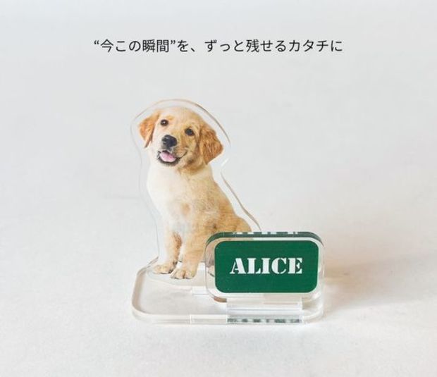 ��ȴ��������륹�����S (5cm)�������ޥ��å�