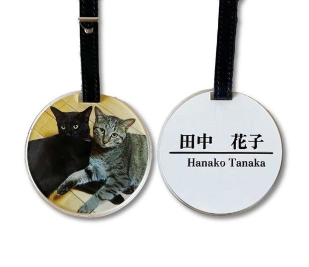 �͡���ץ졼��(�ݷ�)84��84��5����