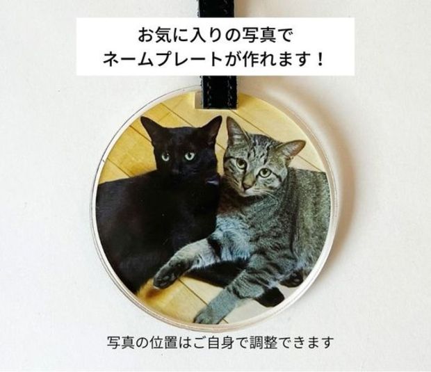 �͡���ץ졼��(�ݷ�)84��84��5����