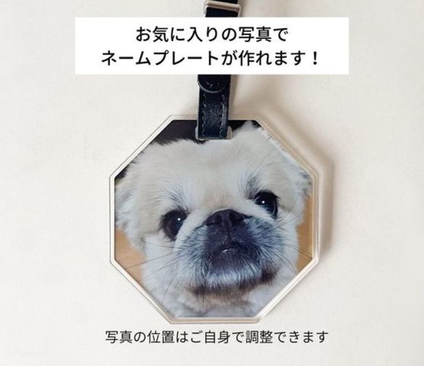 �͡���ץ졼��(Ȭ�ѷ�)84��84��5����