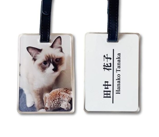 �͡���ץ졼��(Ĺ����)100��70��5����