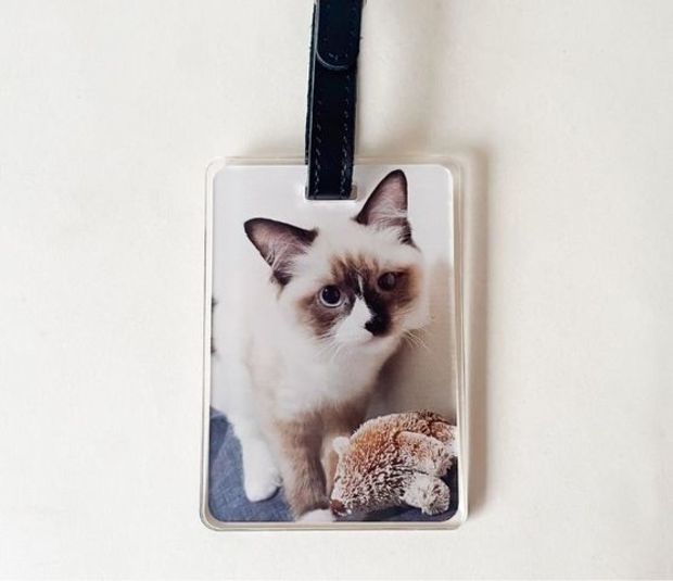 �͡���ץ졼��(Ĺ����)100��70��5����