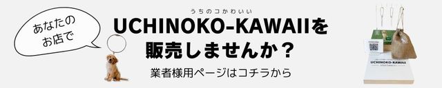 UCHINOKOŹ罸