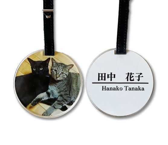 �͡���ץ졼��(�ݷ�)84��84��5����