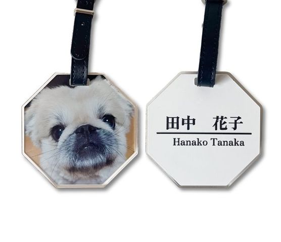 �͡���ץ졼��(Ȭ�ѷ�)84��84��5����