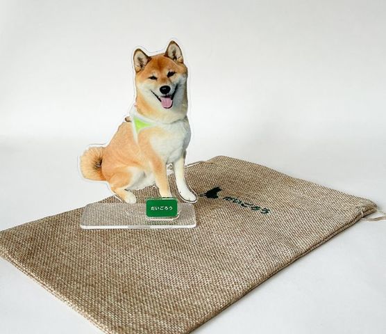 ��������������15cm��������
