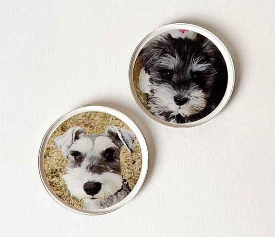 ���ꥹ�ޥ��ץ쥼��Ȥ�