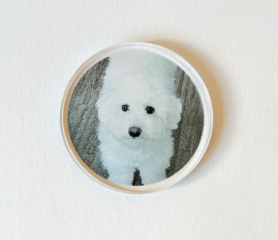 �������Υ���ե��åץޡ�����